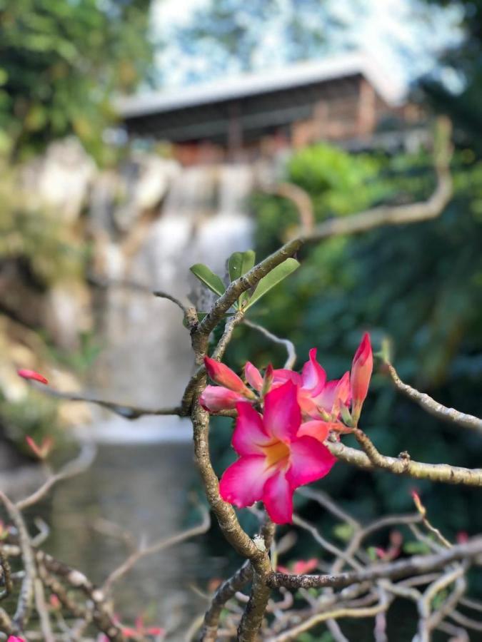 Jolie Petite Villa Sur Une Presqu'Ile 哥西尔 外观 照片